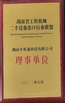 China Hunan Sino-global Technology Co., Ltd. Certificações